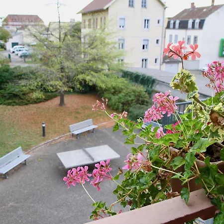 Auberge De Jeunesse コルマール